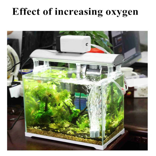 SUNSUN CT Series Ultra-Quiet Aquarium Air Pump | Dual-Core Pure Copper Motor Aerator | Includes Air Tubing & Stones