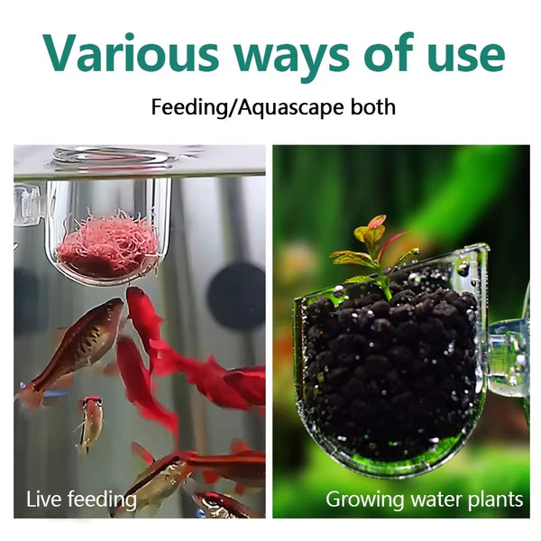 Premium Acrylic Aquarium Plant Cup & Bloodworm Feeder | Suction Cup Glass Pot | Anti-Scatter Fish Feeding Bowl