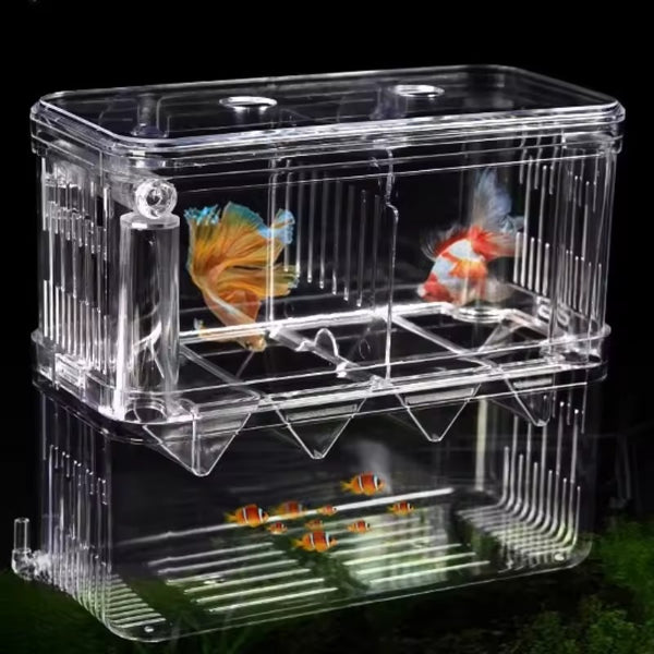 Premium Acrylic Double-Deck Fish Breeding Box | V-Funnel Guppy Hatchery Incubator | Fry Isolation Divider