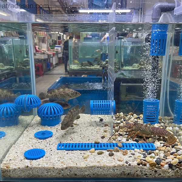 Premium Blue ABS Aquarium Intake Strainer & Drain Cover - Seafood Tank Overflow Filter Guard