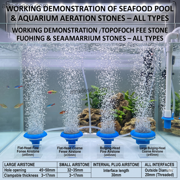 Premium Blue Plastic Air Stone Diffuser Cap - Fine & Coarse Grit Seafood Tank Aerator