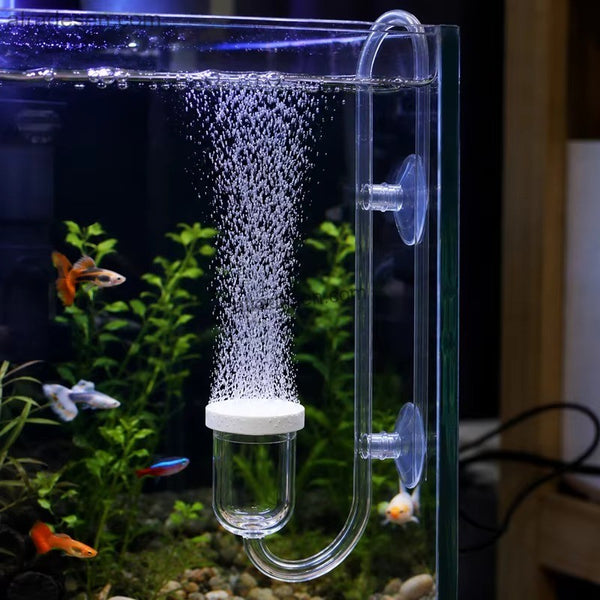 Premium Clear U-Shape Aquarium CO2 Diffuser Atomizer (Small/Large) | Micro-Bubble Reactor for Live Planted Tanks