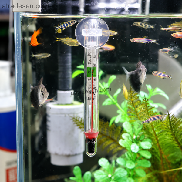 Premium Submersible Glass Aquarium Thermometer | Suction Cup Water Temp Gauge | Dual Scale °C/°F & Precision Models